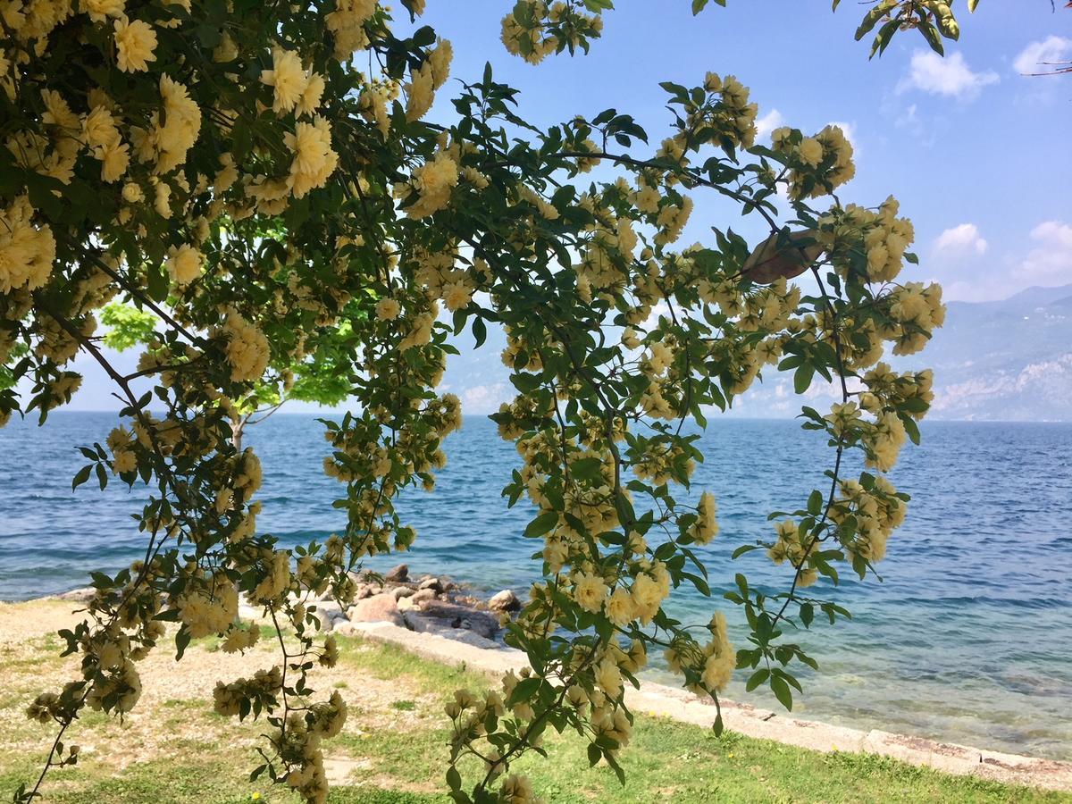 Piccolo Hotel Direkt Am See Brenzone sul Garda Eksteriør billede